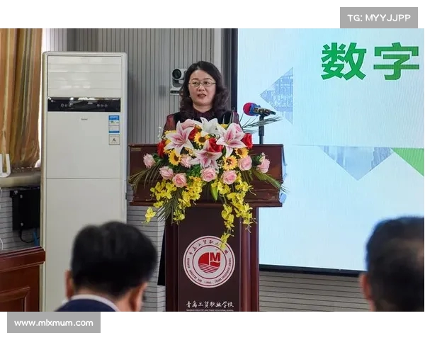 法甲裁判执法水平分析与挑战探讨以及改革建议