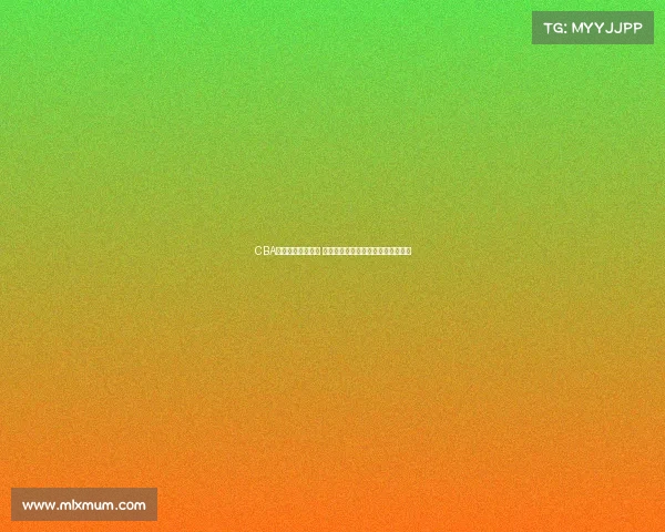 CBA联赛引起国际关注 外媒聚焦中国篮球发展与影响力提升