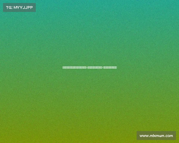 迈阿密热火队的崛起与挑战：从大卫-韦德时代到新星扎伊尔-威廉姆斯的崭新篇章